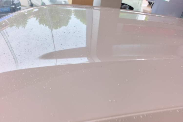 Used BYD Seagull 2023 Free Edition Roof