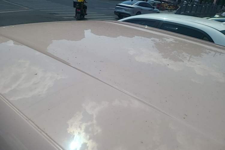 Used BYD Seagull 2023 Free Edition Roof