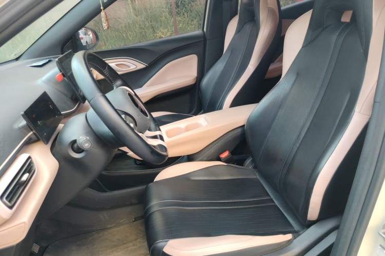 Used BYD Seagull 2023 Free Edition Left Front Seat