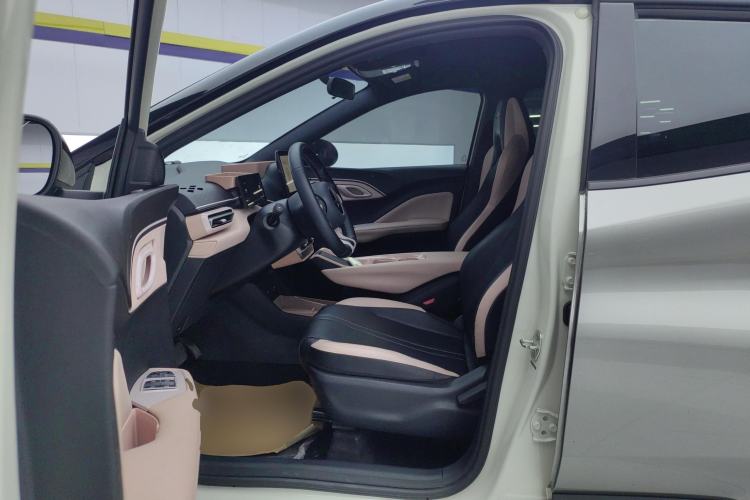 Used BYD Seagull 2023 Free Edition Left Front Seat