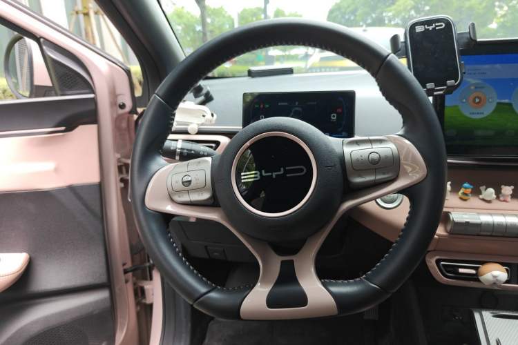 Used BYD Seagull 2023 Free Edition Steering Wheel