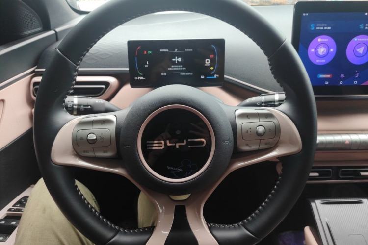 Used BYD Seagull 2023 Free Edition Steering Wheel
