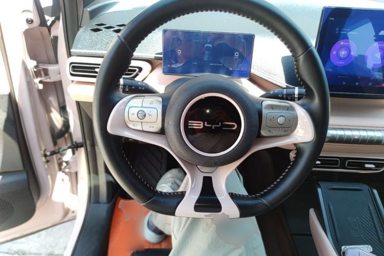 Used BYD Seagull 2023 Flying Edition Steering Wheel