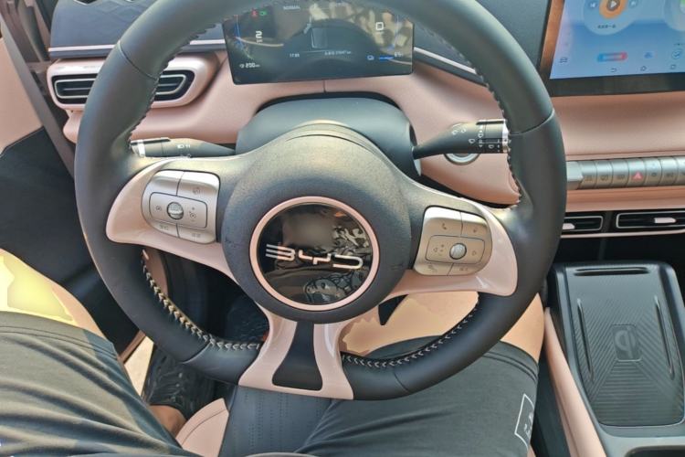 Used BYD Seagull 2023 Free Edition Steering Wheel