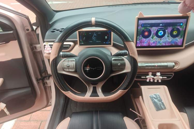 Used BYD Seagull 2023 Active Version Steering Wheel