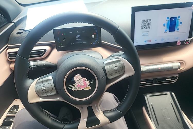 Used BYD Seagull 2023 Free Edition Steering Wheel