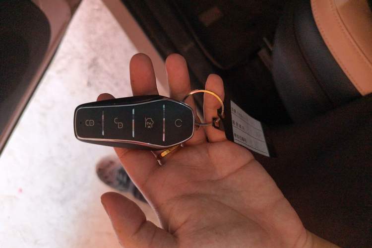 Used BYD Seagull 2023 Active Version Vehicle Key