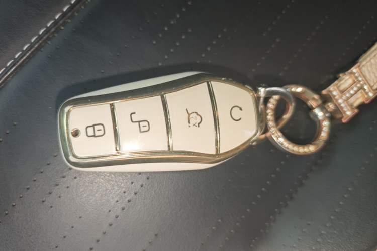 Used BYD Seagull 2023 Free Edition Vehicle Key