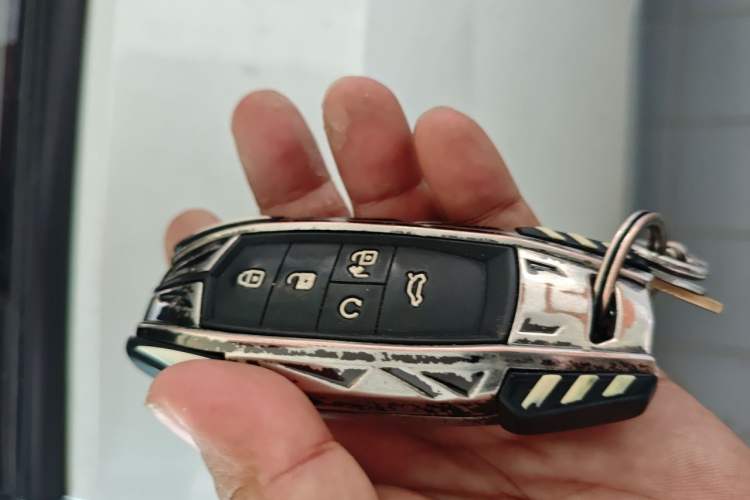 Used BYD Seagull 2023 Flying Edition Vehicle Key