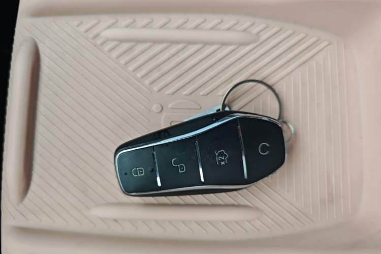 Used BYD Seagull 2023 Free Edition Vehicle Key