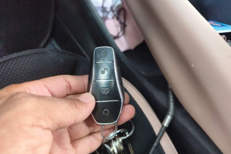 Used BYD Seagull 2023 Flying Edition Vehicle Key
