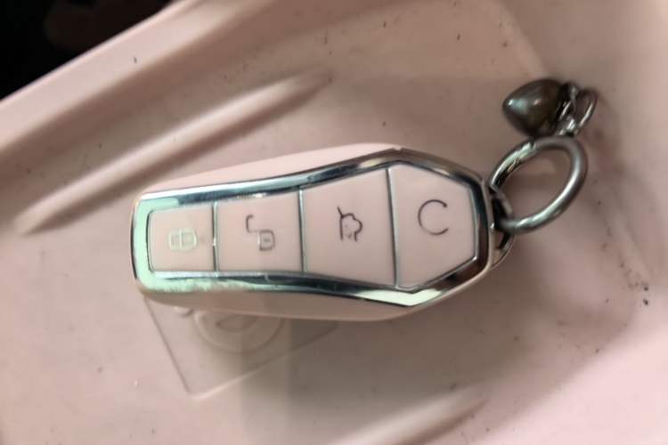 Used BYD Seagull 2023 Free Edition Vehicle Key