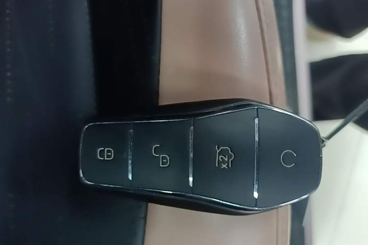 Used BYD Seagull 2023 Free Edition Vehicle Key