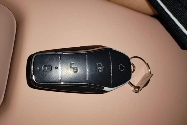 Used BYD Seagull 2023 Flying Edition Vehicle Key