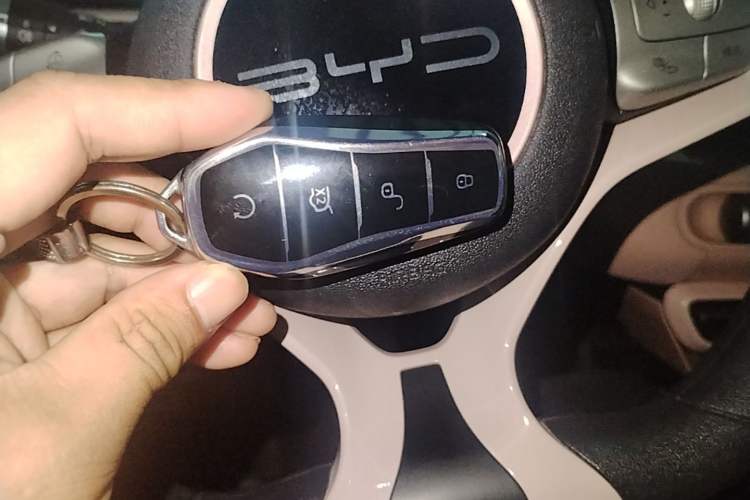 Used BYD Seagull 2023 Active Version Vehicle Key