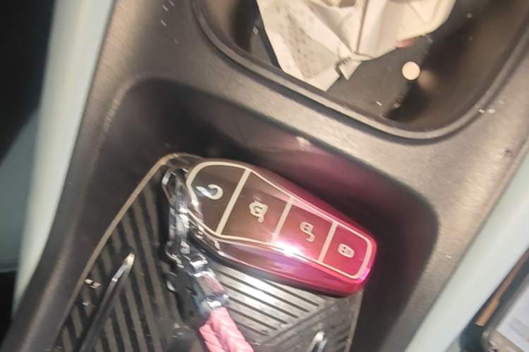 Used BYD Seagull 2023 Flying Edition Vehicle Key