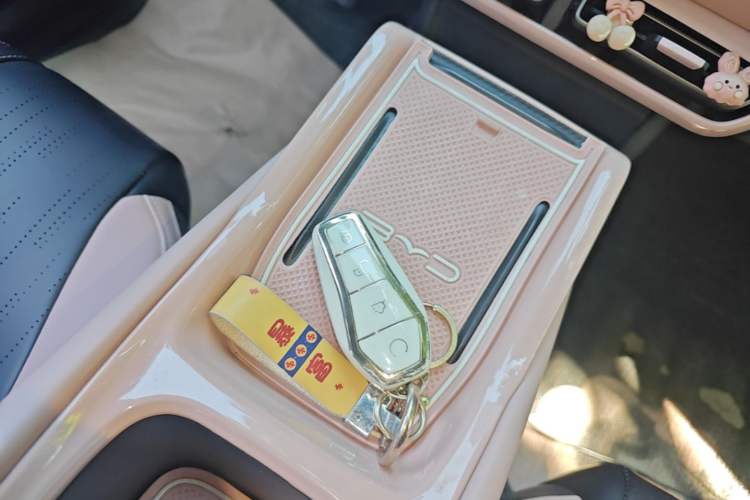 Used BYD Seagull 2023 Flying Edition Vehicle Key