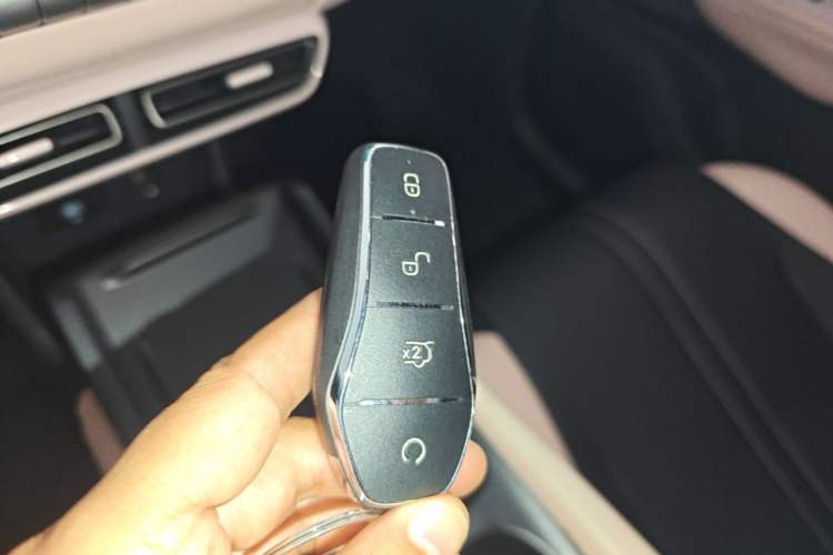 Used BYD Seagull 2023 Flying Edition Vehicle Key