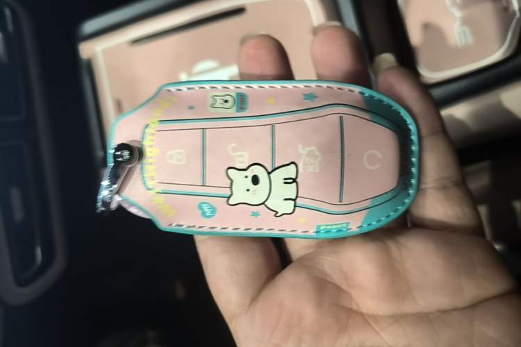 Used BYD Seagull 2023 Free Edition Vehicle Key