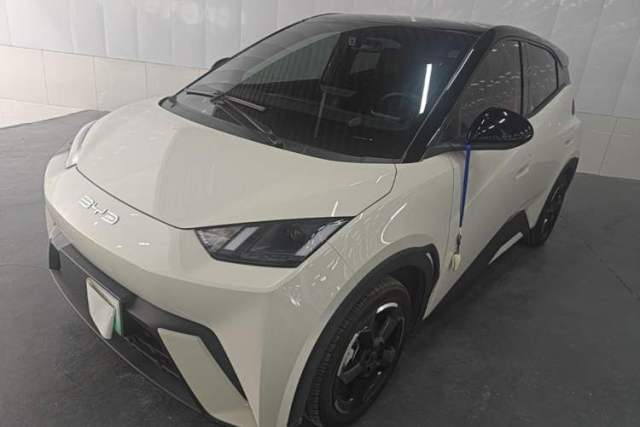 Used BYD Seagull 2023 Flying Edition