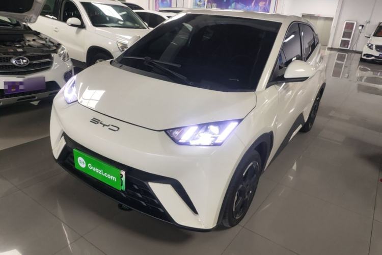 Used BYD Seagull 2023 Free Edition Guazi used car, China used car export, Used car for sale, Used BYD cars, Cheapest cars for sale, Electric vehicle, New energy car