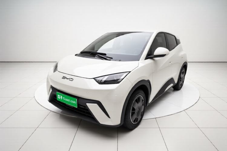 BYD Seagull 2023 Active Version usata Guazi used car, China used car export, Used car for sale, Used  cars, Cheapest cars for sale