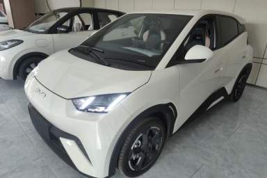 Used BYD Seagull 2023 Free Edition
