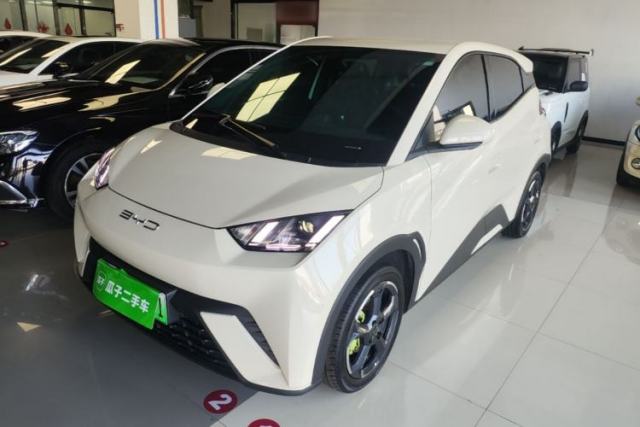 Used BYD Seagull 2023 Free Edition