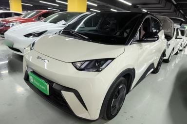 Used BYD Seagull 2023 Active Version