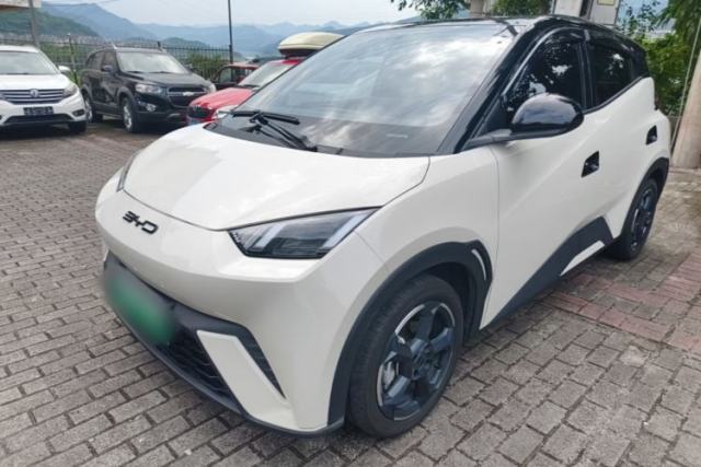 Used BYD Seagull 2023 Free Edition