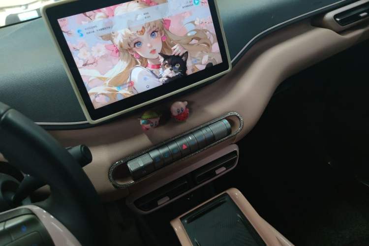 Used BYD Seagull 2023 Free Edition Audio And AC Panel