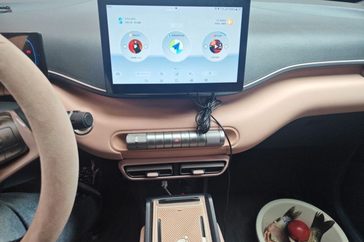 Used BYD Seagull 2023 Free Edition Audio And AC Panel
