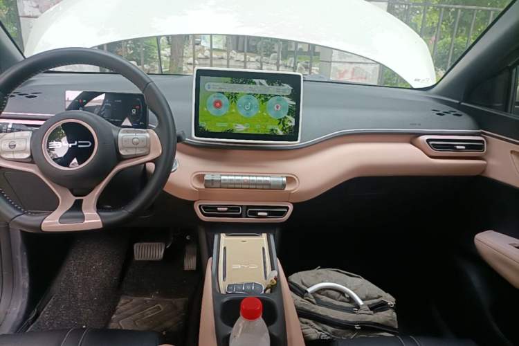 Used BYD Seagull 2023 Free Edition Audio And AC Panel