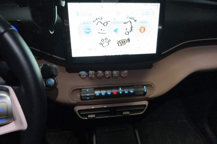 Used BYD Seagull 2023 Flying Edition Audio And AC Panel