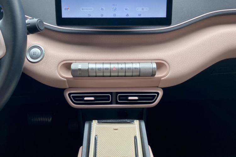 Used BYD Seagull 2023 Flying Edition Audio And AC Panel