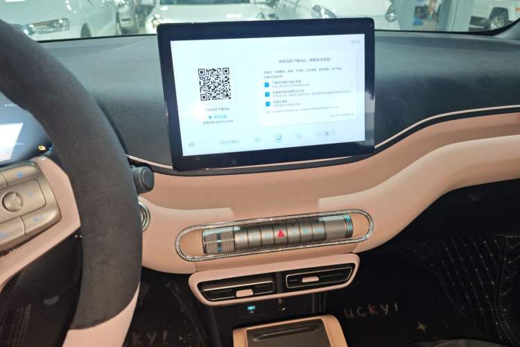 Used BYD Seagull 2023 Free Edition Audio And AC Panel