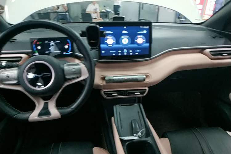 Used BYD Seagull 2023 Free Edition Audio And AC Panel