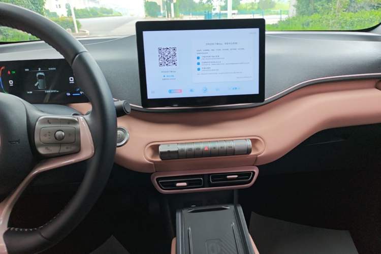 Used BYD Seagull 2023 Free Edition Audio And AC Panel