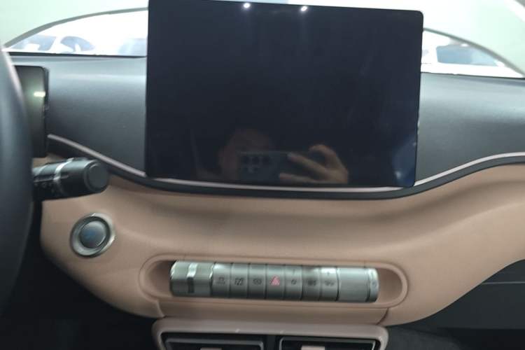 Used BYD Seagull 2023 Flying Edition Audio And AC Panel