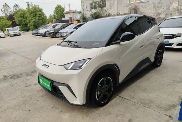 Used BYD Seagull 2023 Flying Edition