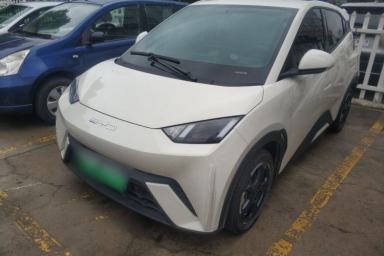 Used BYD Seagull 2023 Free Edition