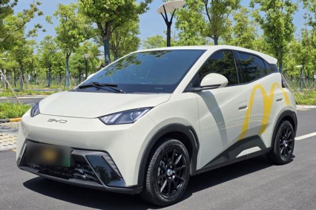 Used BYD Seagull 2023 Active Version