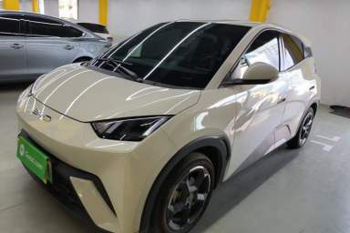 Used BYD Seagull 2023 Free Edition