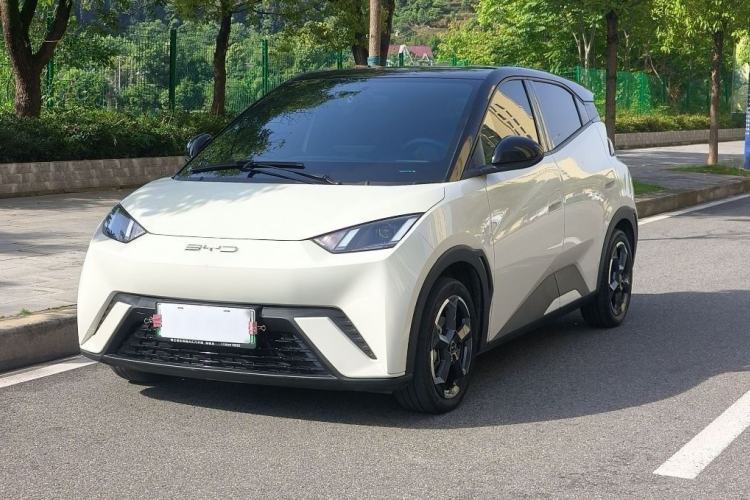 Used BYD Seagull 2023 Free Edition Guazi used car, China used car export, Used car for sale, Used cars, Cheapest cars for sale