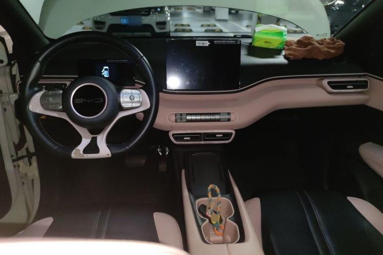 Used BYD Seagull 2023 Free Edition Center Console