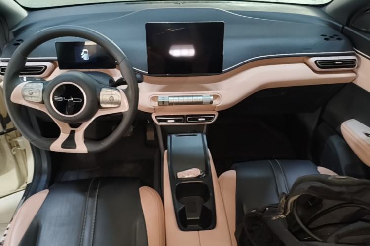 Used BYD Seagull 2023 Active Version Center Console