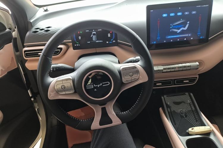 Used BYD Seagull 2023 Free Edition Center Console