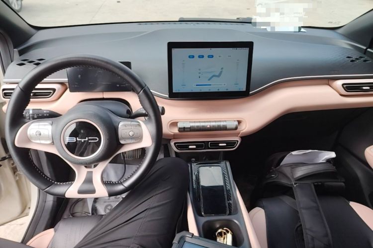 Used BYD Seagull 2023 Free Edition Center Console