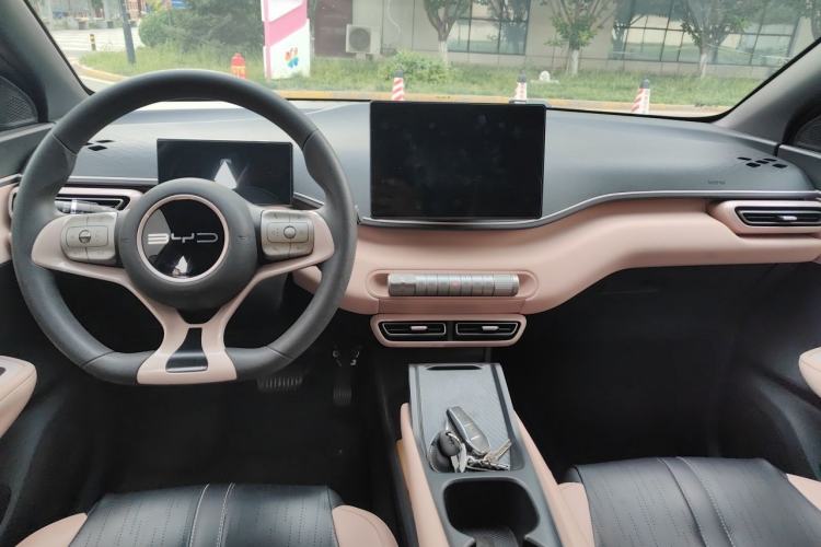Used BYD Seagull 2023 Active Version Center Console