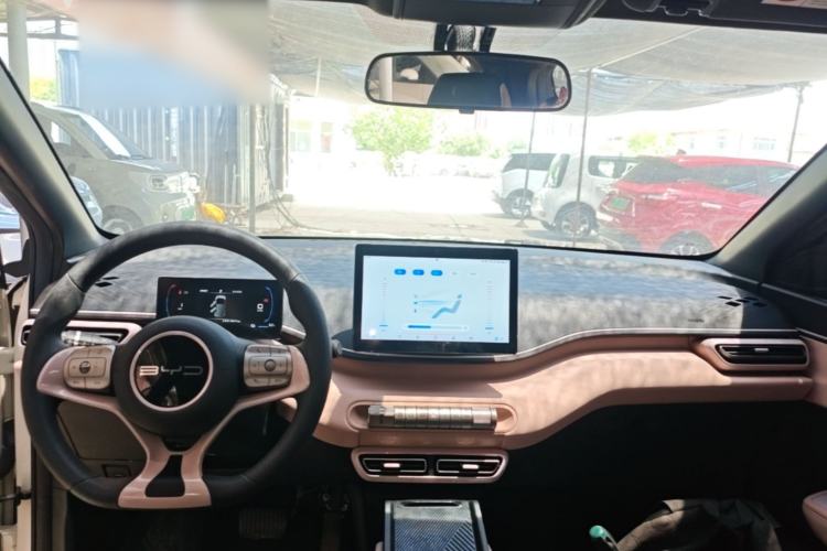 Used BYD Seagull 2023 Active Version Center Console